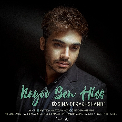Cover artwork for Nagoo Bem Hiss by Sina Derakhshande